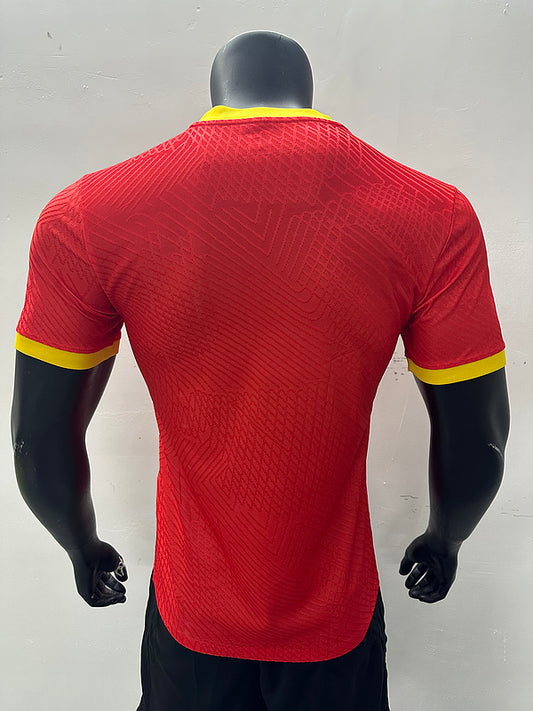 Maillot Guinée Domicile 2024 2025