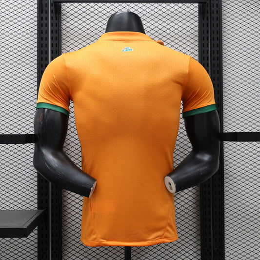 Maillot Côte d'ivoire Concept 2024 2025
