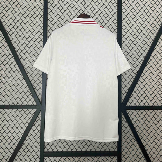 Maillot Danemark Extérieur 2024 2025