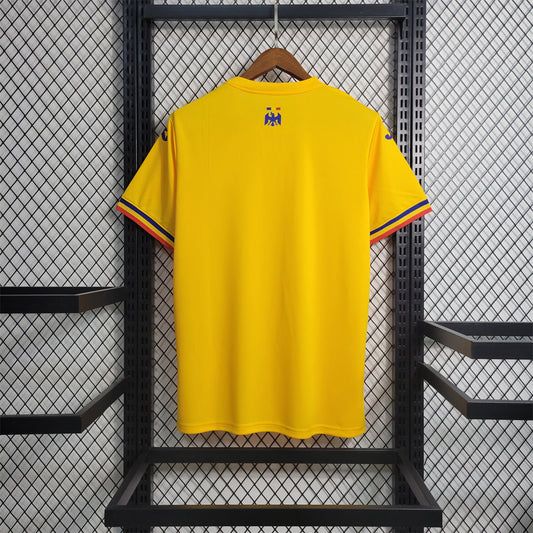 Maillot Roumanie Domicile 2024 2025
